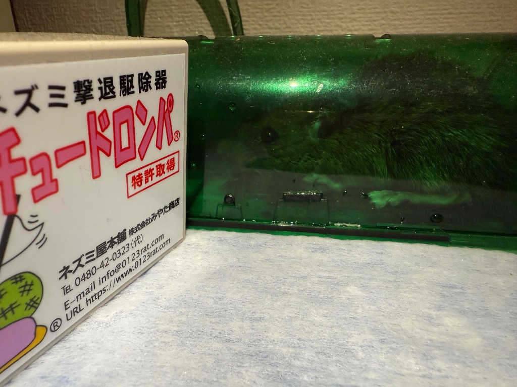 レビュー画像
