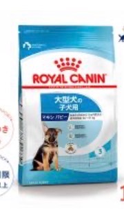 ロイヤルカナン（ROYAL CANIN） マキシ パピー 10kg / 大型犬(成犬時