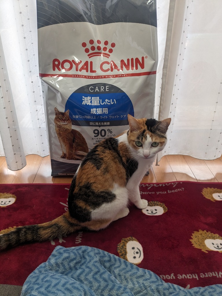 ロイヤルカナン ライト ウェイト ケア 8kg / 減量したい成猫用