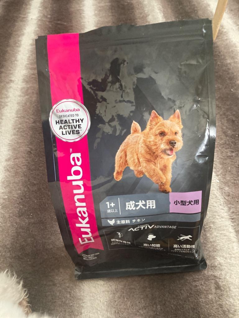 ユーカヌバ [ユーカヌバ]Eukanuba スモール アダルト 800g
