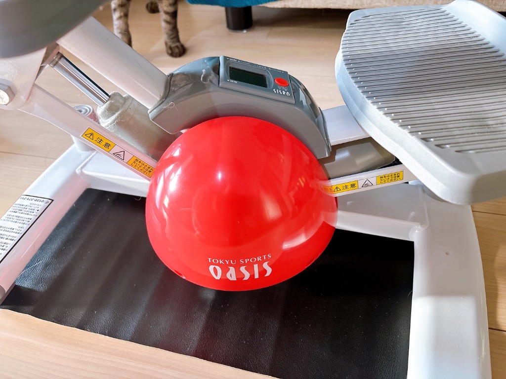 東急スポーツオアシス ステッパー ツイストステッパー SP-100 30
