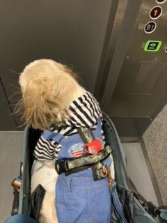 8件目のレビュー画像 | 0