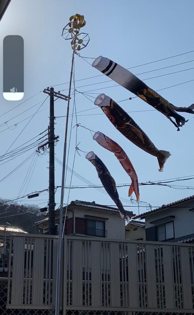 こいのぼり 村上 鯉のぼり ベランダ マンション 1.5m きらきら小型