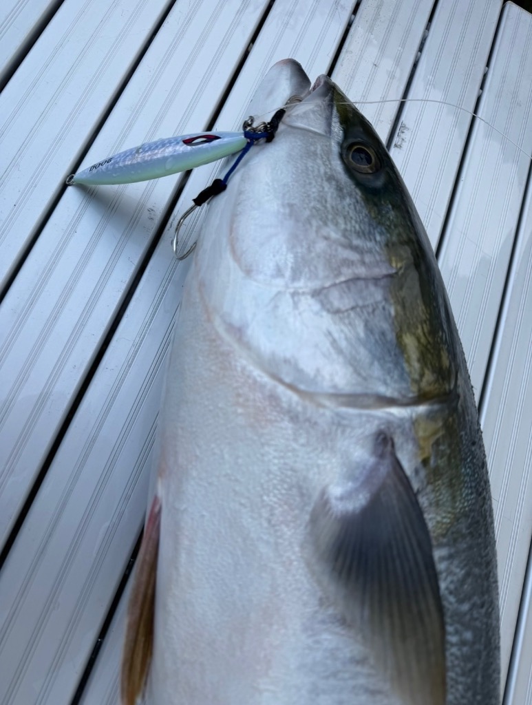 1件目のレビュー画像 | 0