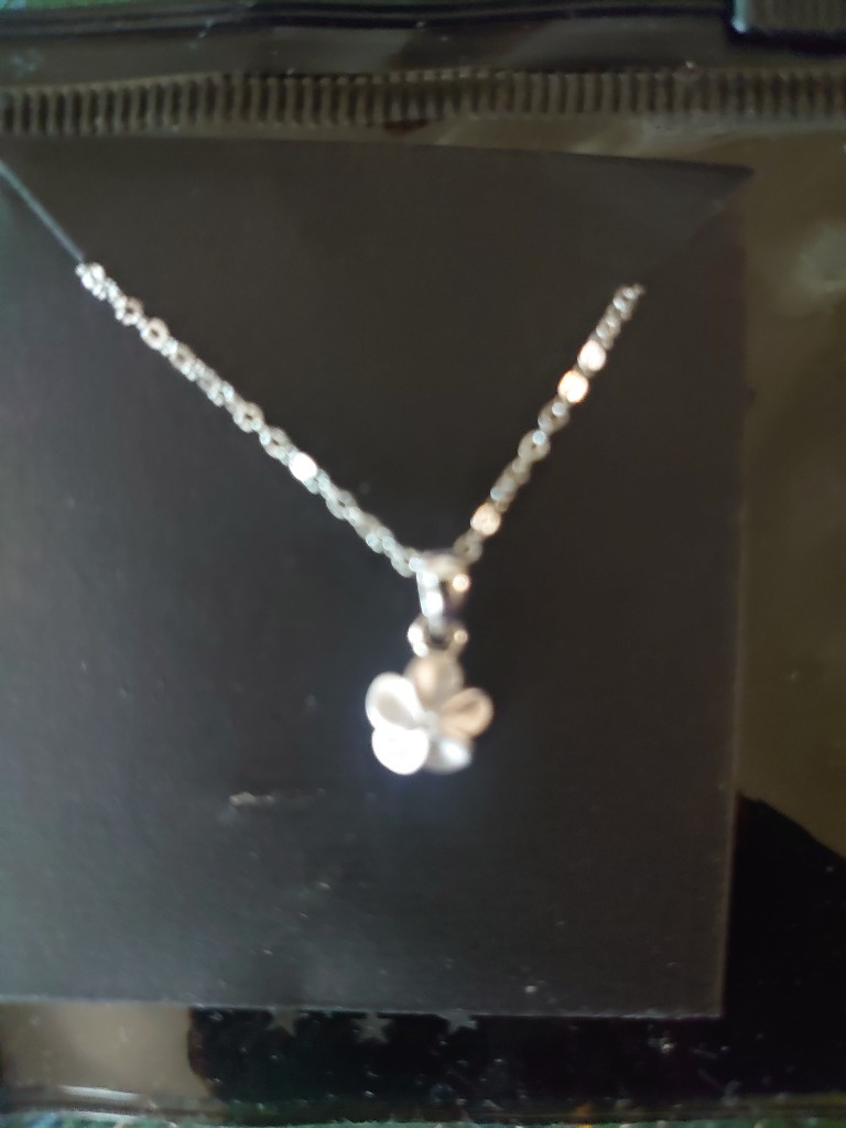 4件目のレビュー画像 | 0