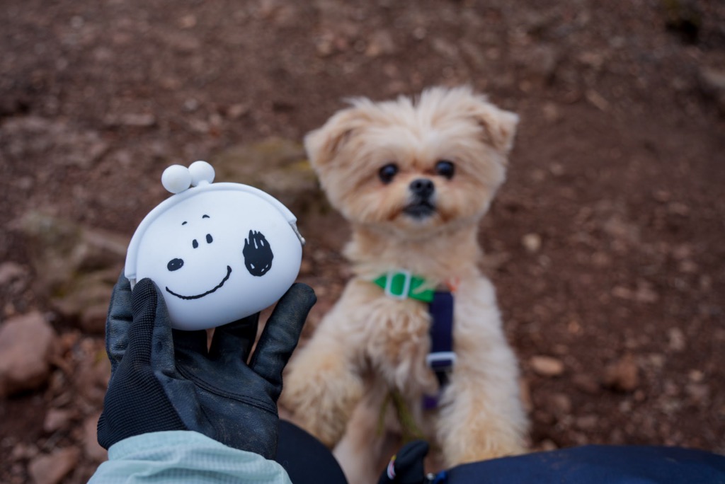 全体のレビュー画像 | 1-0