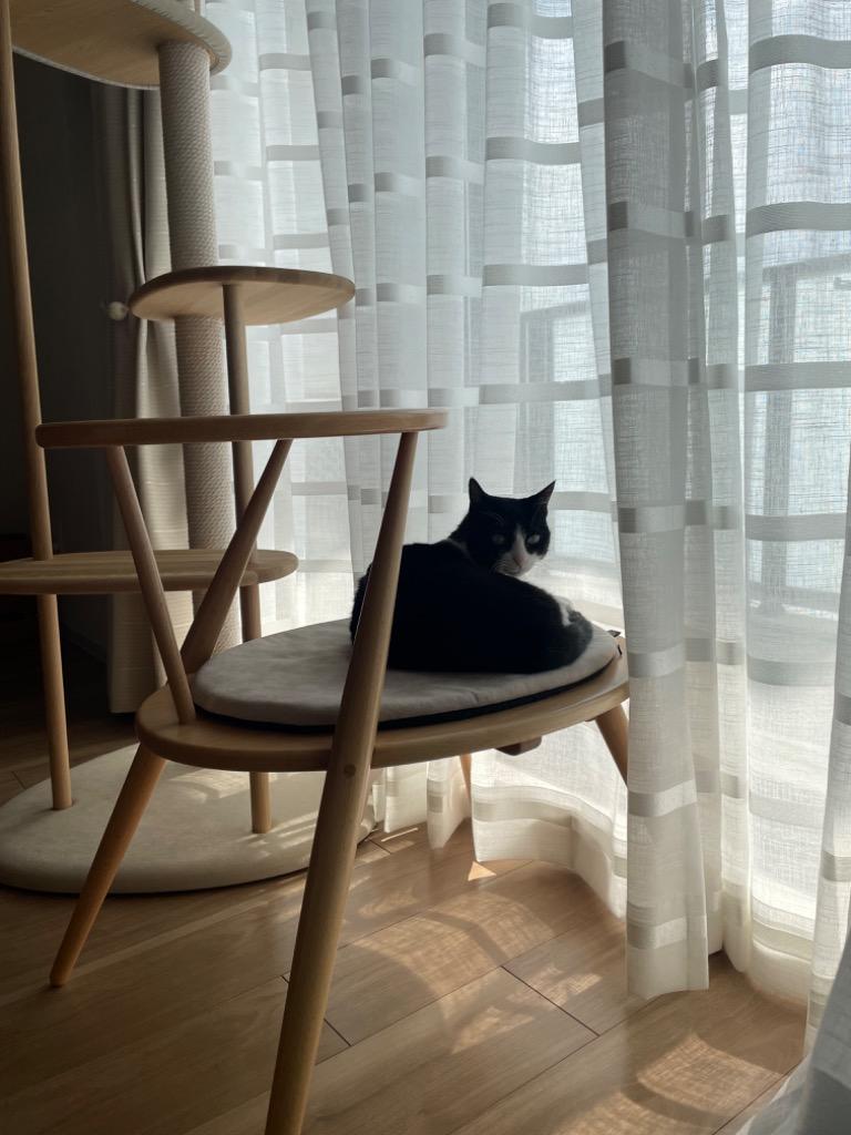 1件目のレビュー画像 | 0