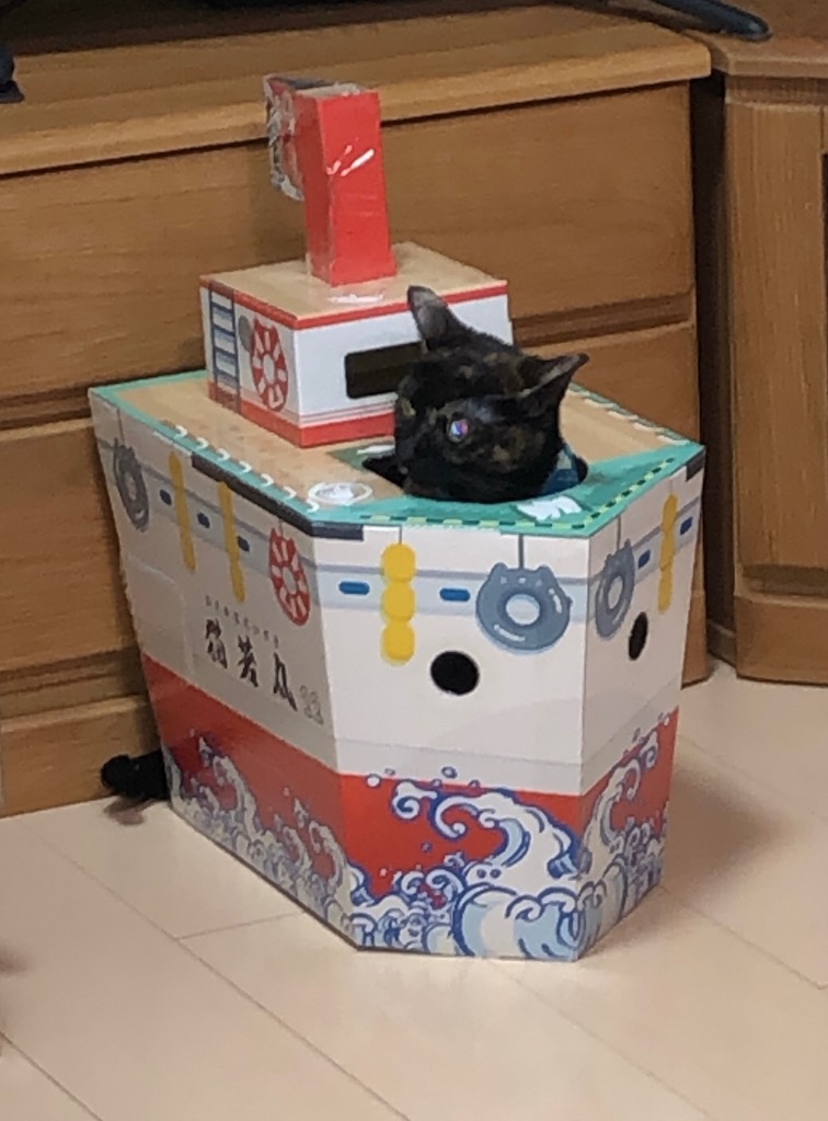 キャティーマン なりきりにゃんボックス 猫用 ハウス : 56nyan キャティーマン なりきりにゃんボックス 猫用 ハウス : 56nyan