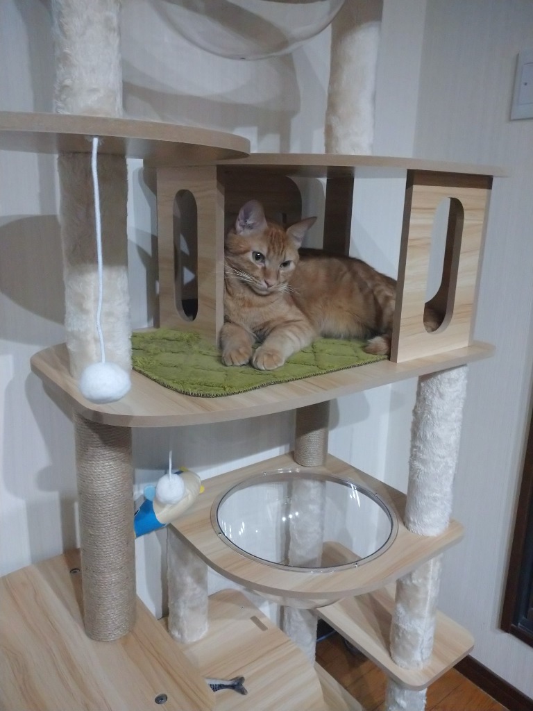 円形キャットタワー 木製 フェルト内装 猫家族 キャットタワー 木製 高さ175cm 多頭飼い 据え置き型