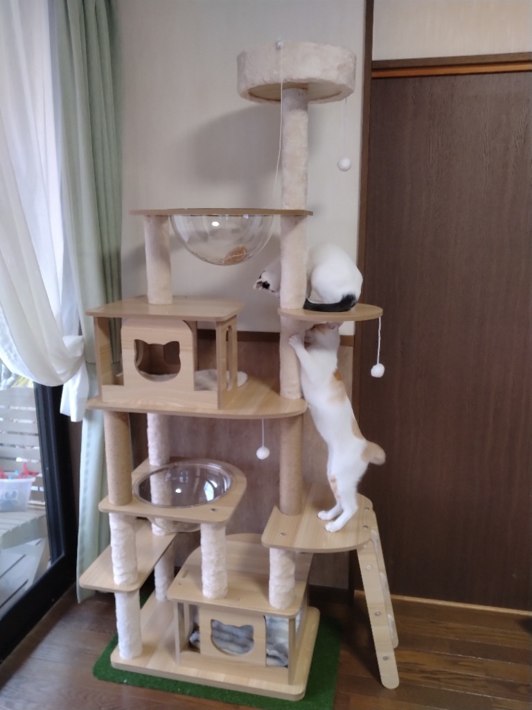 円形キャットタワー 木製 フェルト内装 ONEKOSAMA OINUSAMA キャットタワー 木製 据え置き 爪とぎ お
