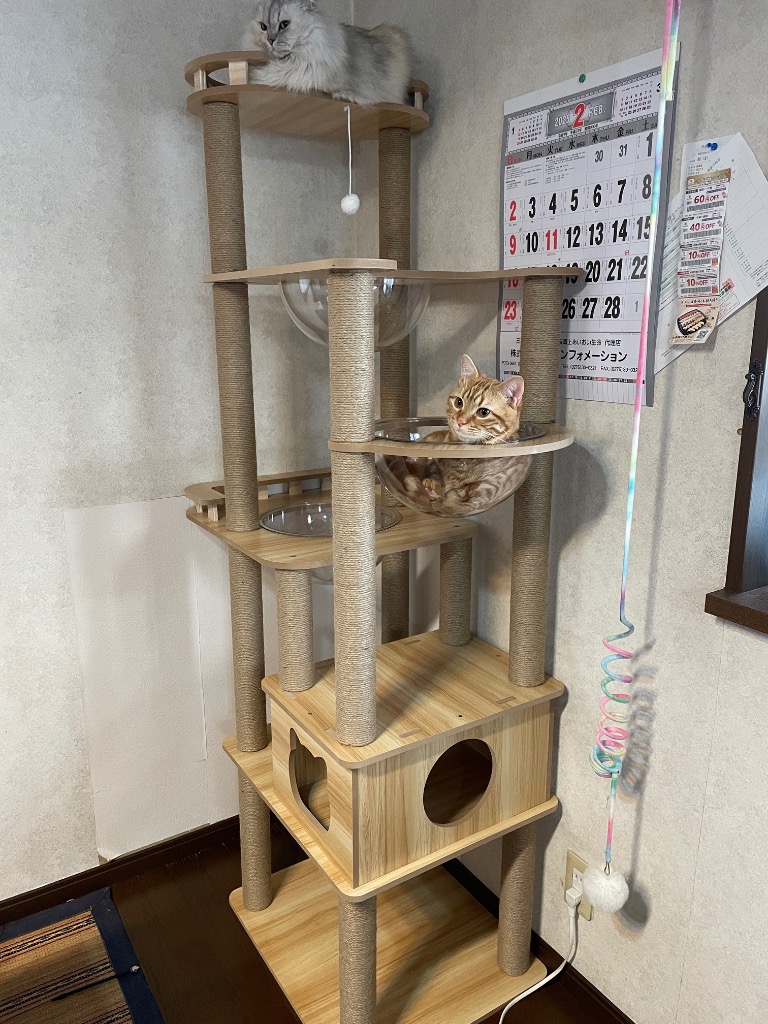 キャットタワー 木製 宇宙船カプセル 大型猫 据え置き型 多頭飼い  おしゃれ Amazon | 猫家族 キャットタワー 木製 高さ約182cm 滑りにくい板