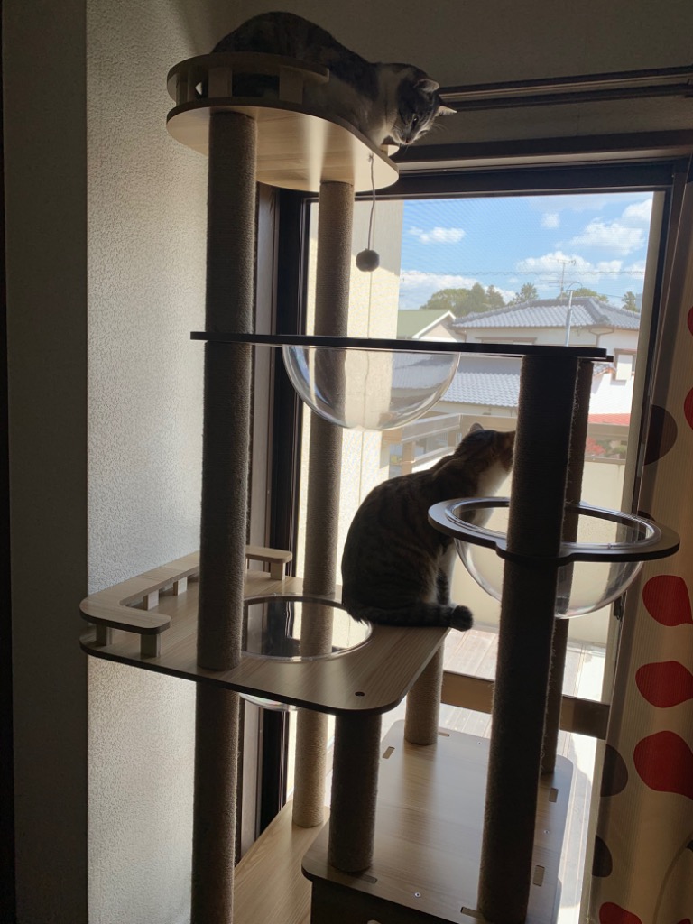 猫家族 キャットタワー 木製 宇宙船カプセル 大型猫 据え置き型
