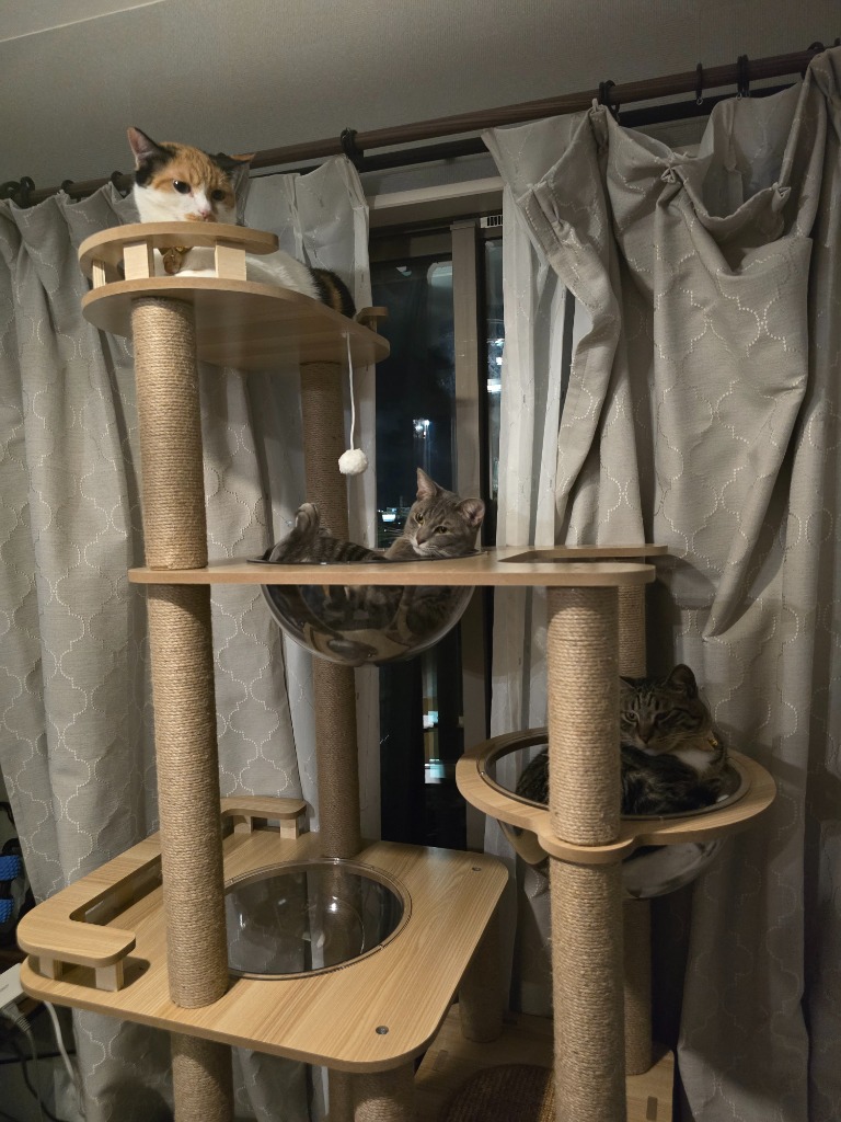 猫家族 滑り止めマット付 キャットタワー 木製 宇宙船カプセル