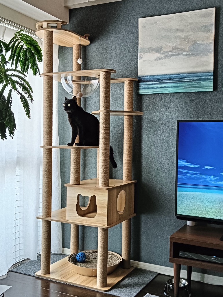 猫家族 キャットタワー 木製 宇宙船カプセル 大型猫 据え置き型