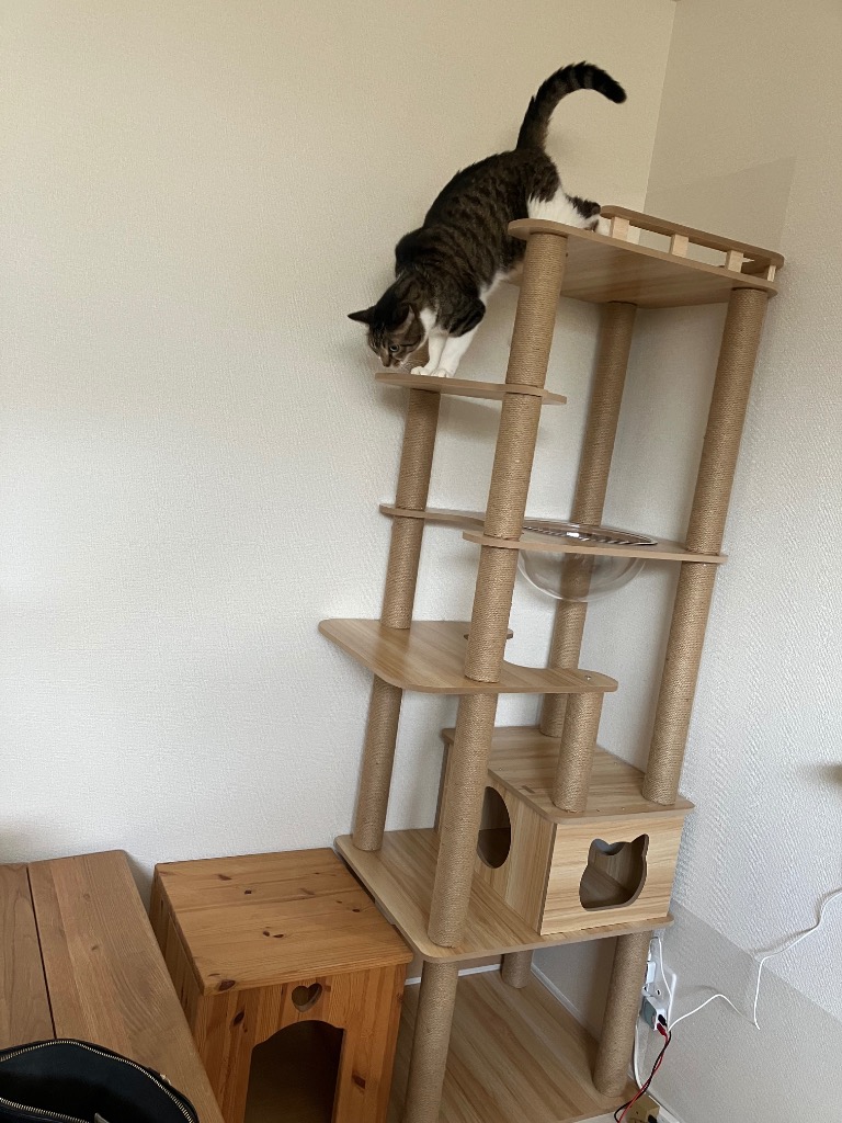 猫家族 広い展望台付き キャットタワー 木製 大型猫 高さ約170cm
