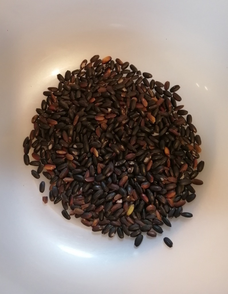 令和6年産 黒米 450g 1袋 ポイント消化 雑穀米 お試し 食品 健康 令和6年産 黒米 450g 1袋 ポイント消化 雑穀米 お試し 食品 健康
