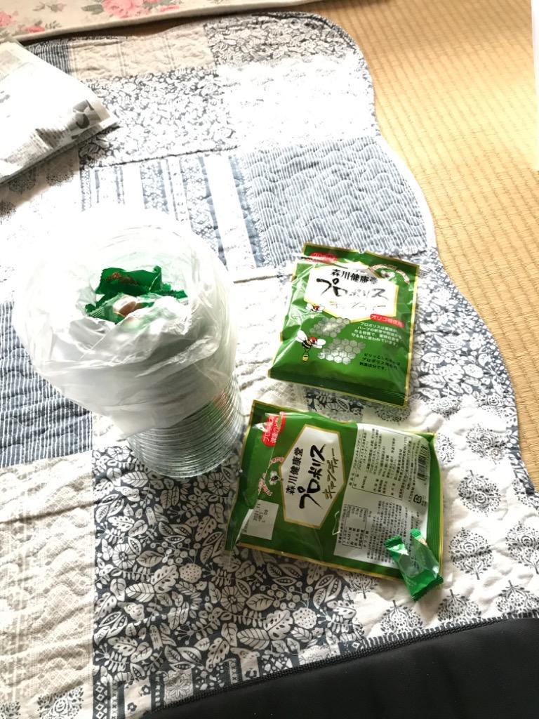 420円 保障 森川健康堂 プロポリスキャンディー 100g×3個セット
