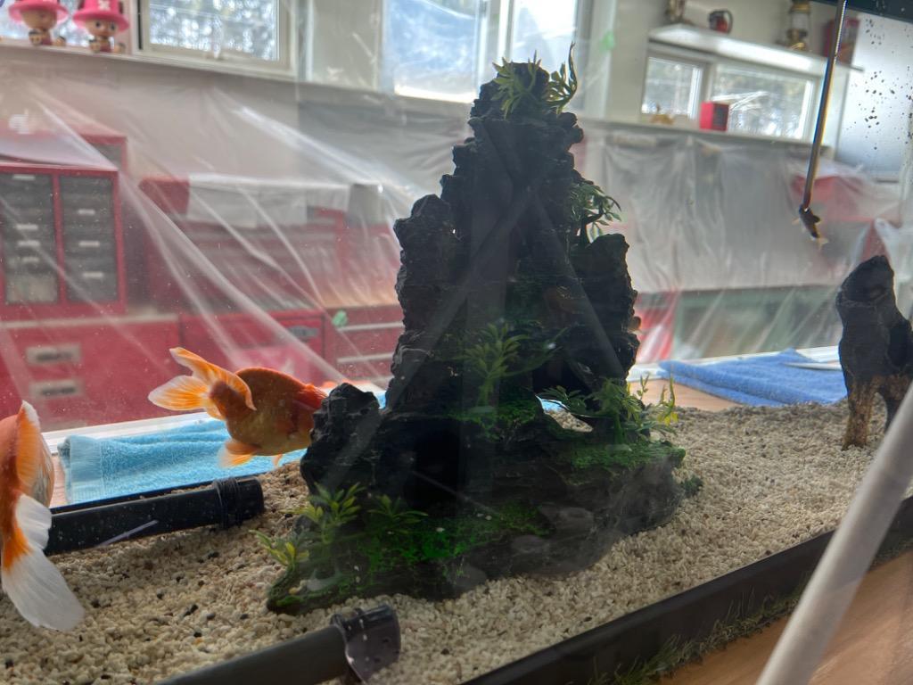 日本 魚の隠れ家 水族館の飾り物 魚飼育用の水槽の飾り生息地造園 植物 樹脂 安全 無毒