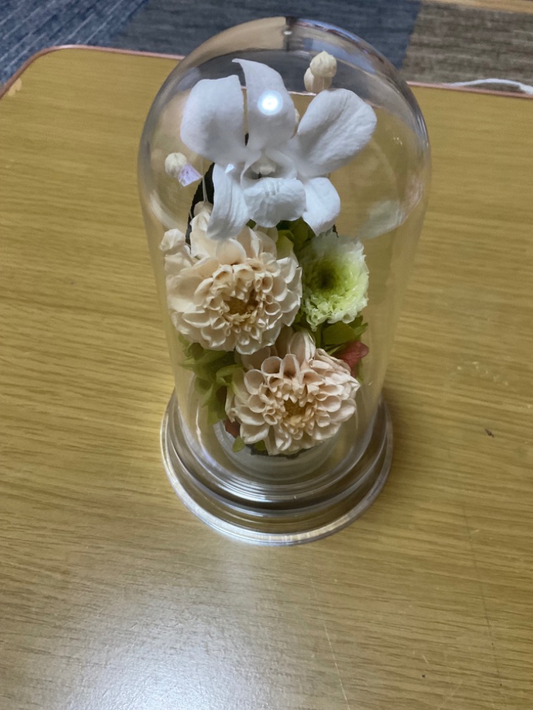 全体のレビュー画像 | 0-0