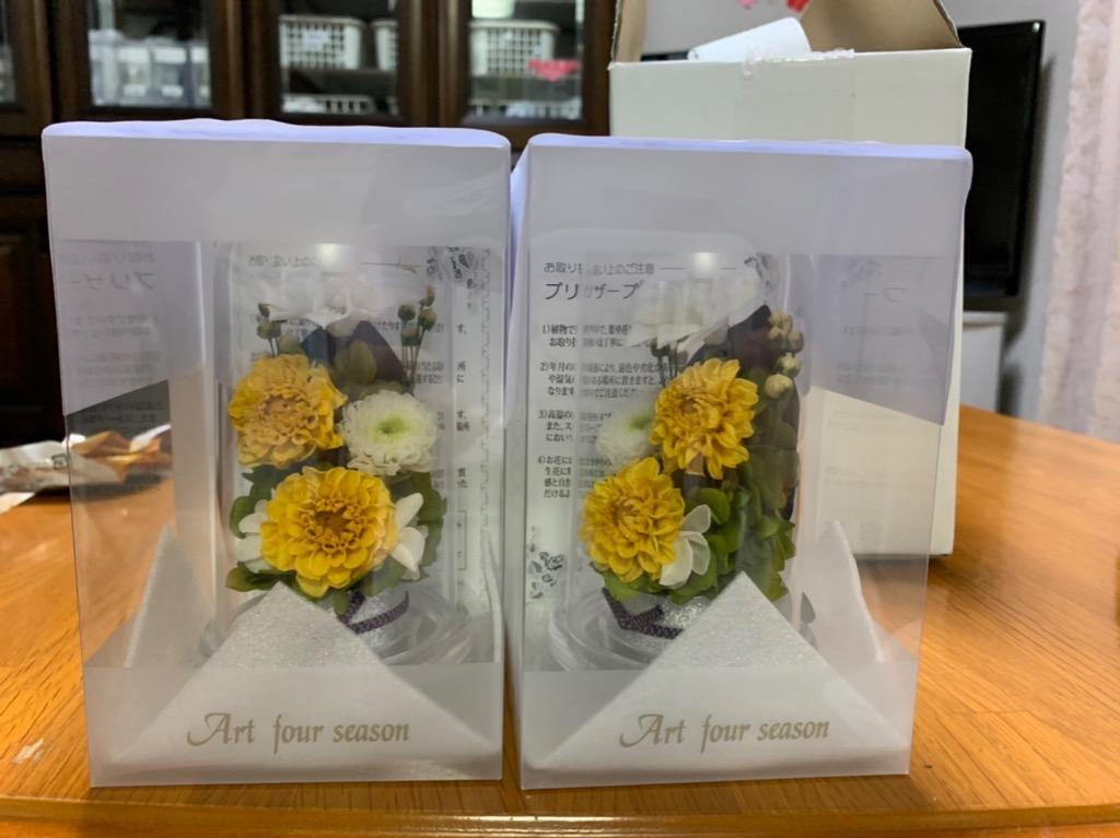 全体のレビュー画像 | 0-0