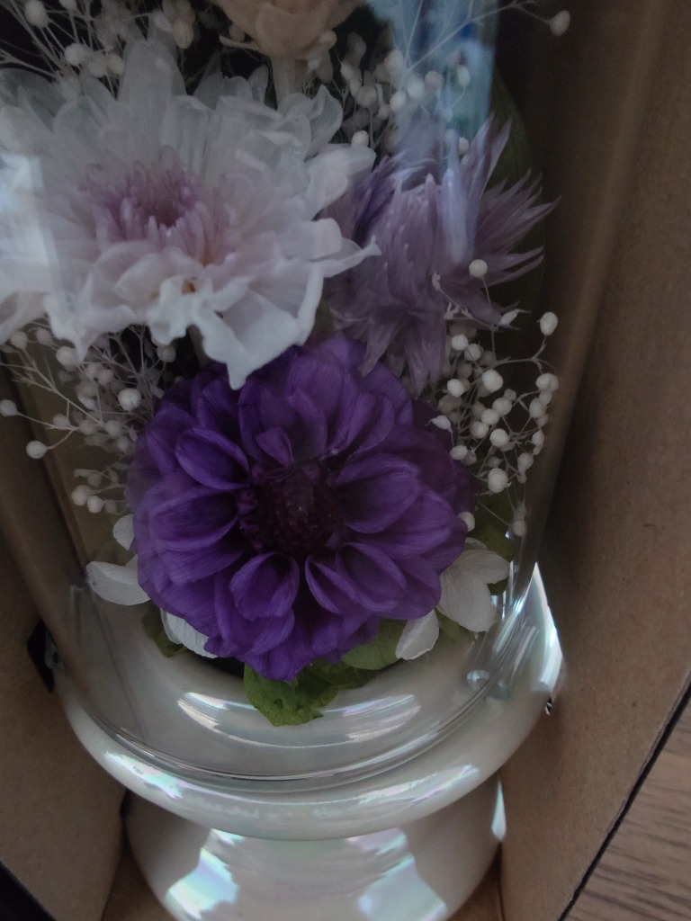 全体のレビュー画像 | 0-0