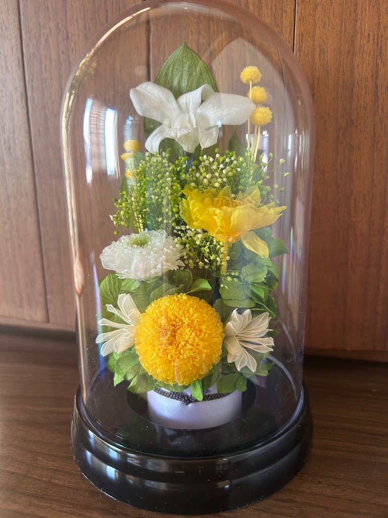 全体のレビュー画像 | 0-0