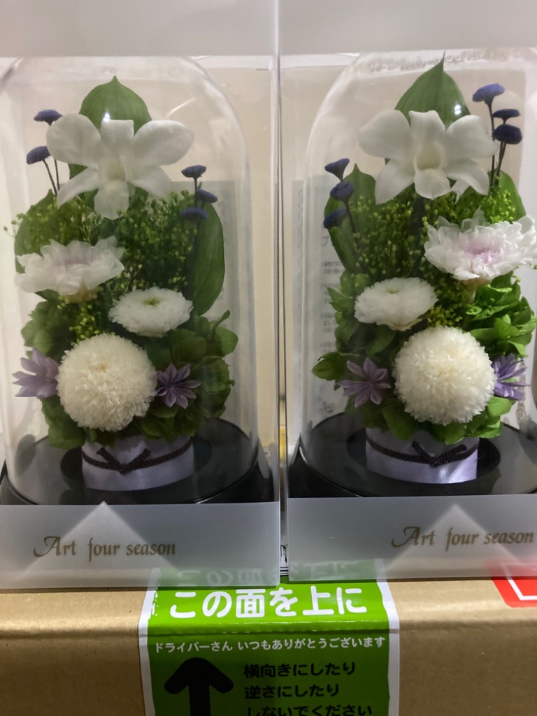 1件目のレビュー画像 | 0