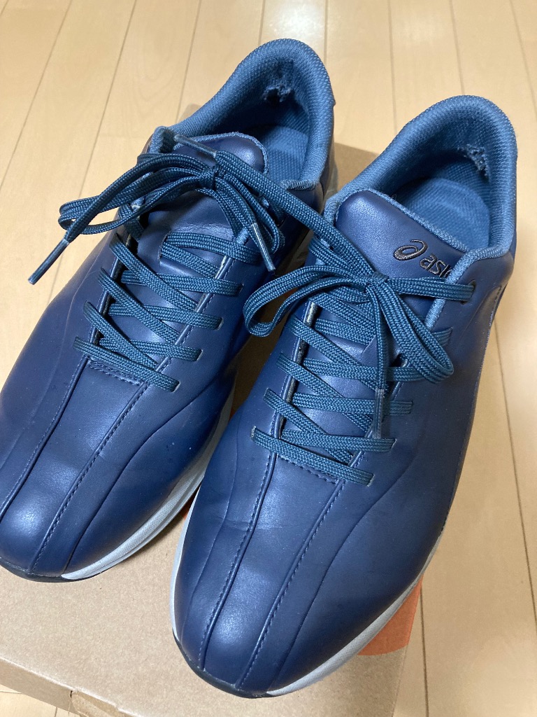 ASICS アシックス 24H-29_GEL-WANDER M WR GEL-WANDER 1291A048