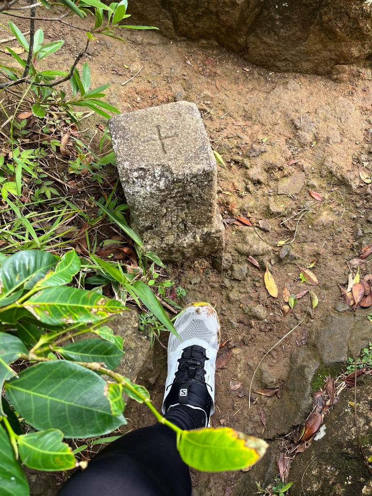 SALOMON サロモン AMPHIB BOLD 2 アンフィブボールド L47153600