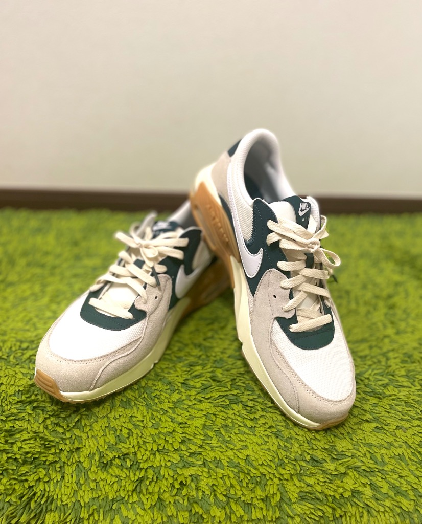 NIKE ナイキ AIRMAX EXCEE エア マックス エクシー MFQ8067