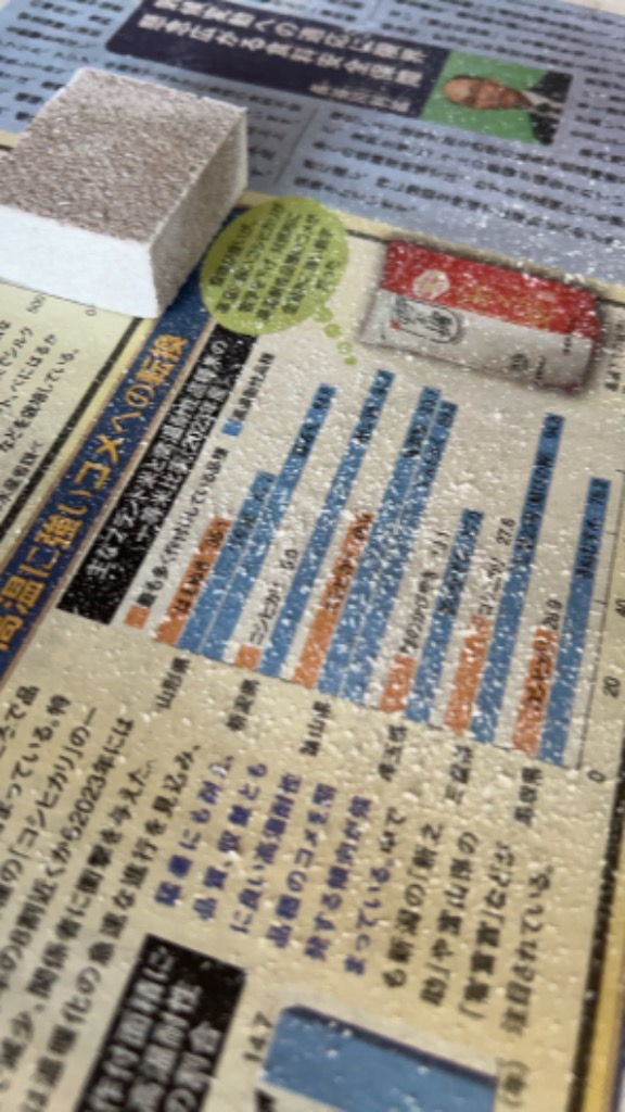 レビュー画像
