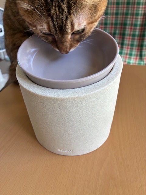 1件目のレビュー画像 | 0