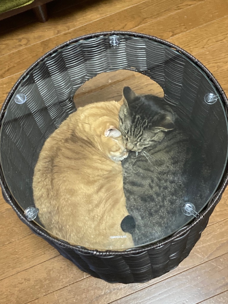 1件目のレビュー画像 | 0