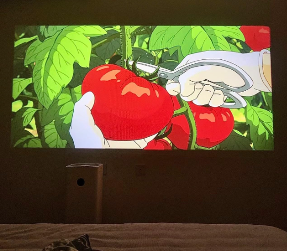 レビュー画像