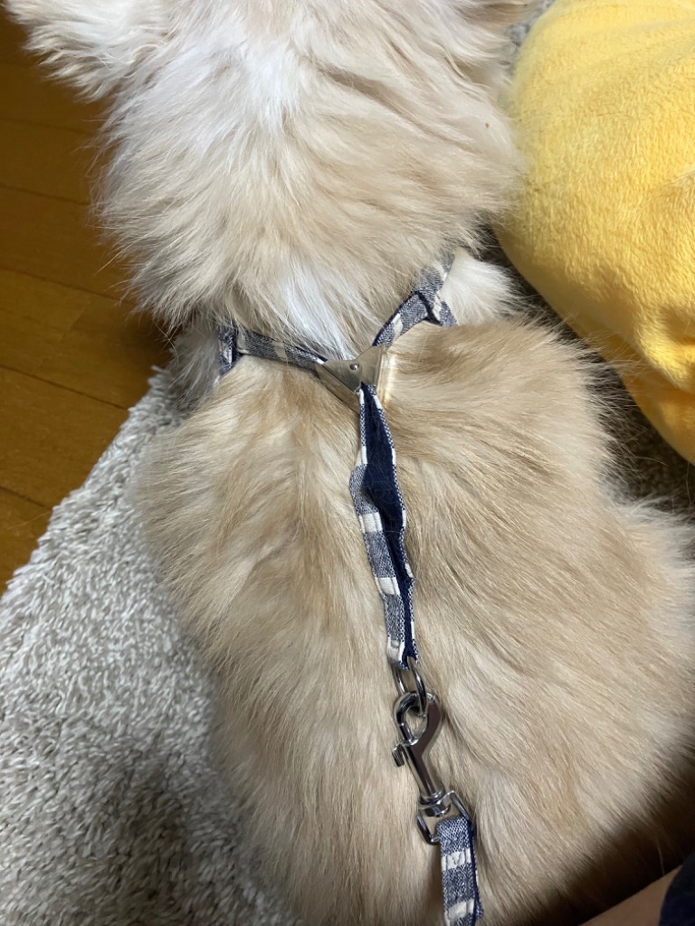 2件目のレビュー画像 | 1