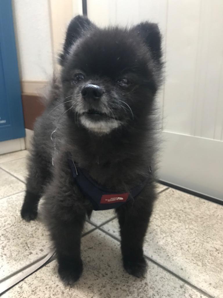 全体のレビュー画像 | 3-0