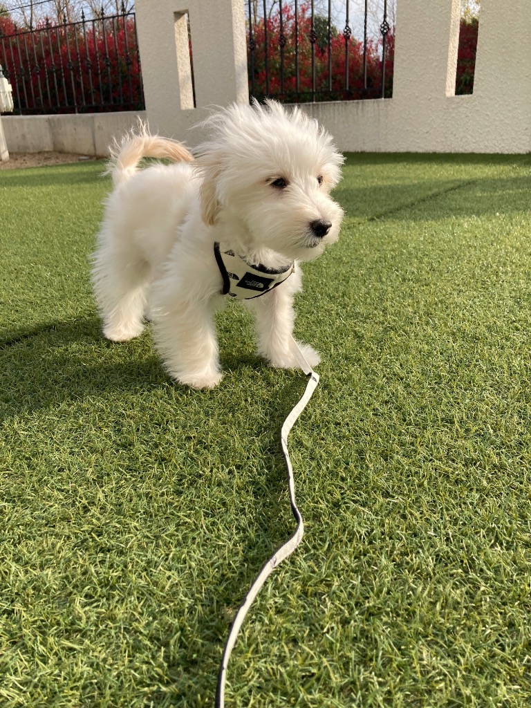 5件目のレビュー画像 | 0