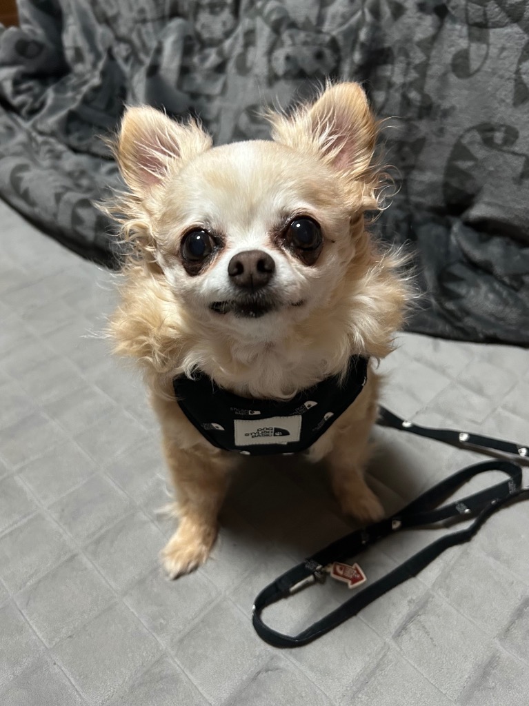 1件目のレビュー画像 | 0