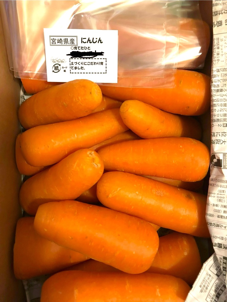 オーガニック 無農薬人参ジュース用洗い5kg : アグリクリエイト - 通販