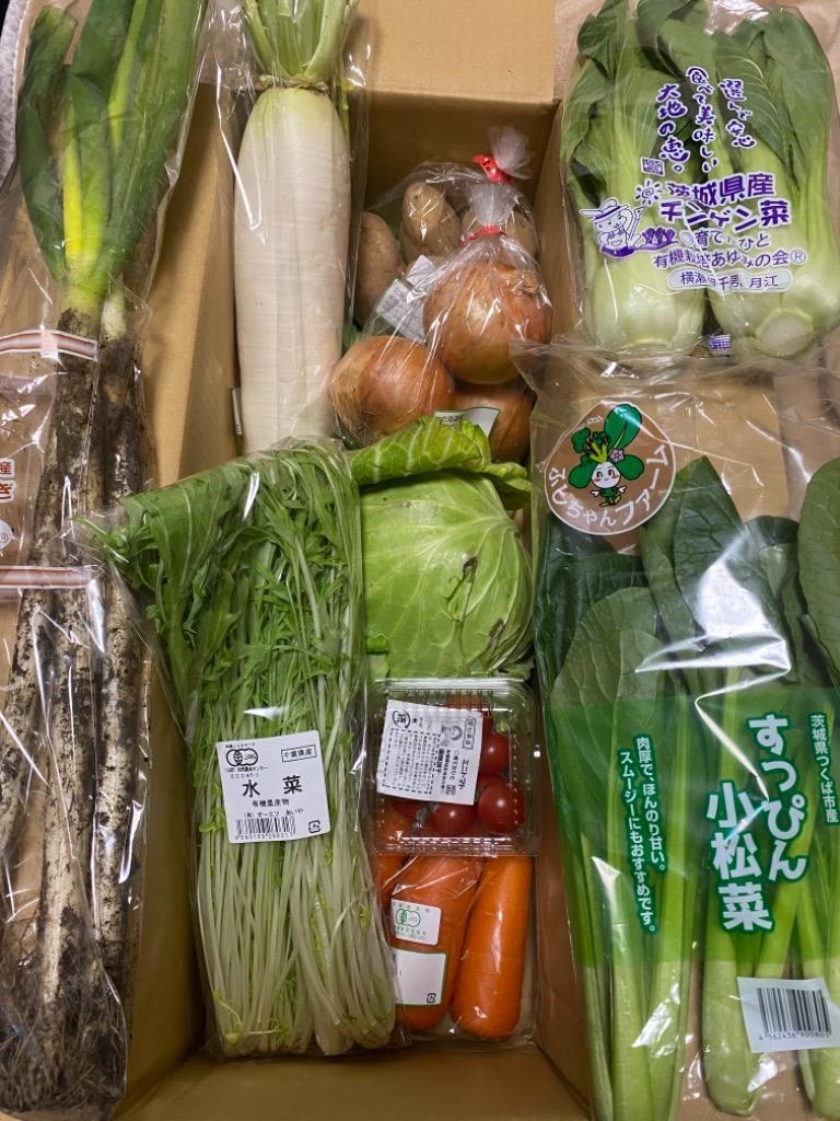 有機野菜入りこだわり野菜セット(8〜10品入り)【送料無料】 :1992440:アグリクリエイト - 通販 - Yahoo!ショッピング