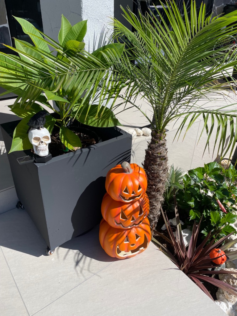 プランター 大型 43×43cm スクエア 正方形 深型 軽量 排水穴 植木鉢