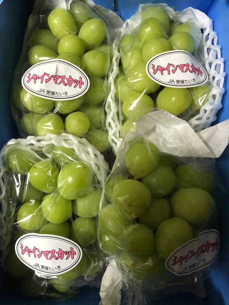 【ますちゃん】藤稔　愛媛県産JAえひめ中央6房　2kg ますちゃん様専用】藤稔 愛媛県産JAえひめ中央6房 2kg （楽天