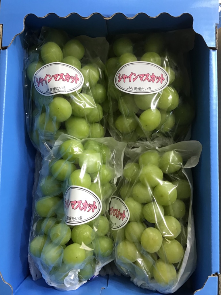 シャインマスカット  2kg JAえひめ中央 愛媛県産シャインマスカット 2kg 4～5房 | 愛媛県松山市 | 三越