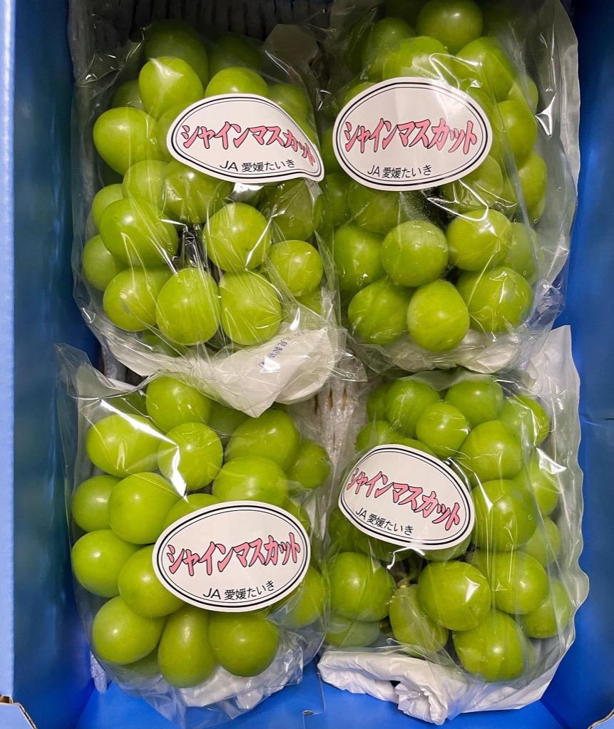 周年記念】シャインマスカット 愛媛県産（JA愛媛たいき）2kg（4
