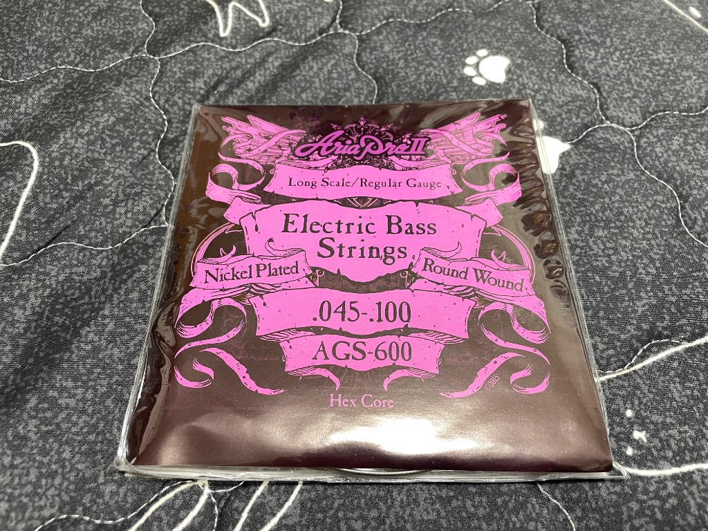 楽器 その他 (未使用・未開封品) ARIA アリア Acoustic Bass