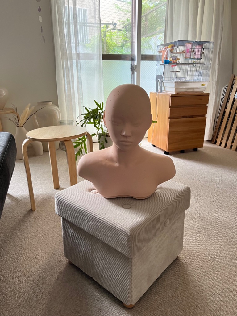 練習用デコルテ土台　エステ　フェイシャル 練習用 デコルテ土台 幅39×高さ40×奥行20cmの通販｜セブンビューティー