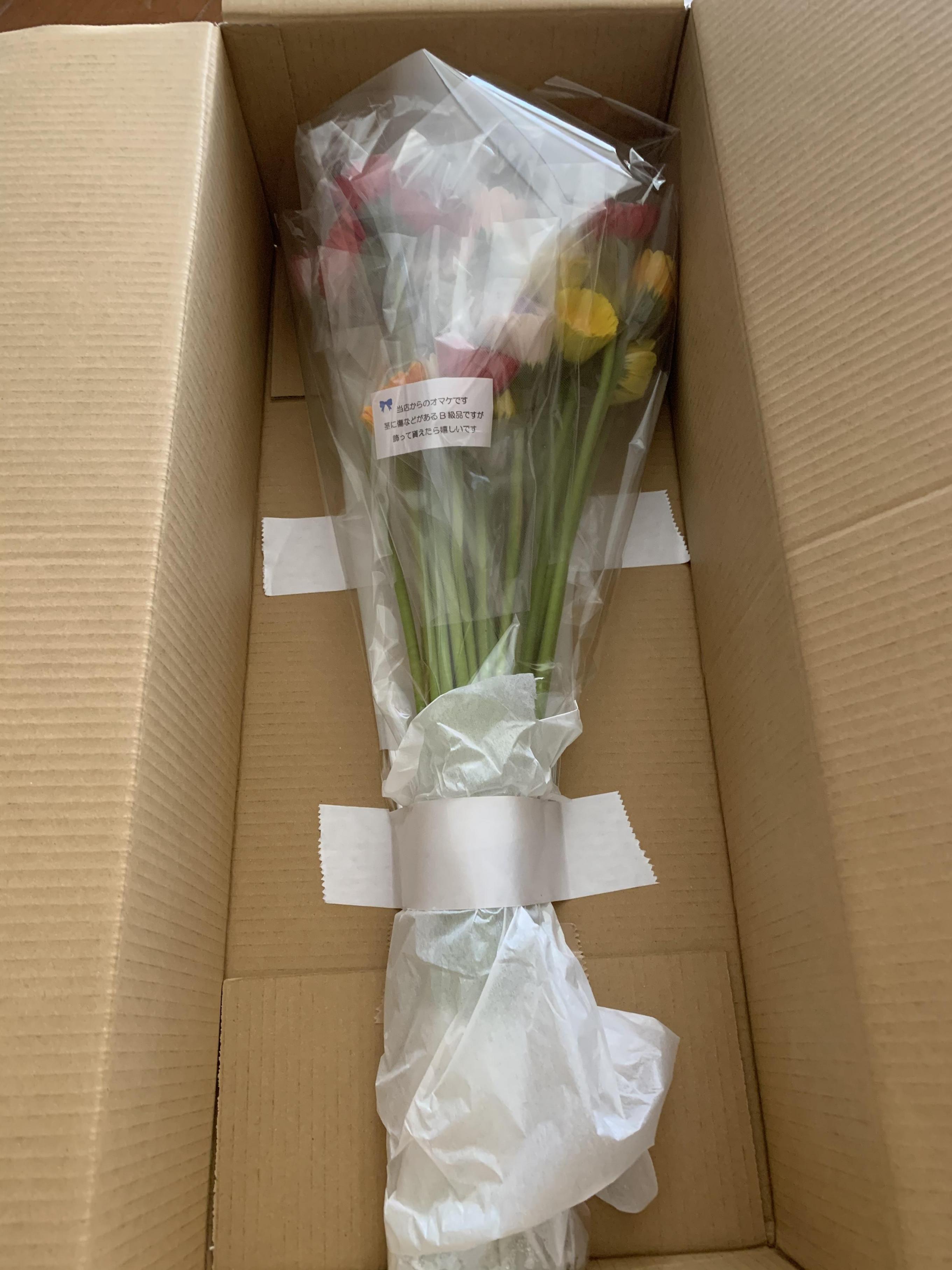 ガーベラの花1本をセルフラッピング 自分で作る個包装 保水キャップ付き 卒業式 結婚式 イベントなどのプチギフトに 33 ガーベラ屋さん アイルとリリカ 通販 Yahoo ショッピング