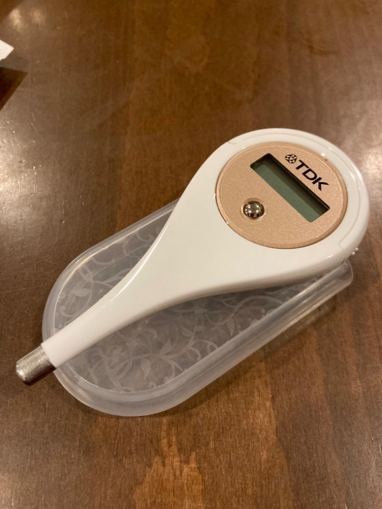 TDK 婦人用電子体温計 HT-301 婦人体温計 日本製 基礎体温 記録 実測式
