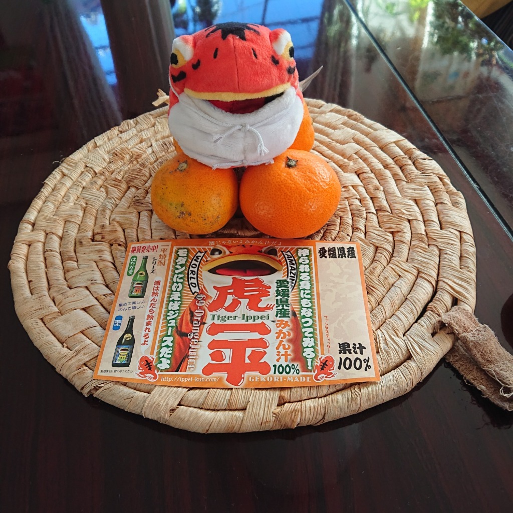 REI　南柑20号サイズ混合4.5kg＋小玉4.5kgぐるりん 南柑20号【玉津みかん】5kg : 四国の掘り出し物Yahoo!ショップ