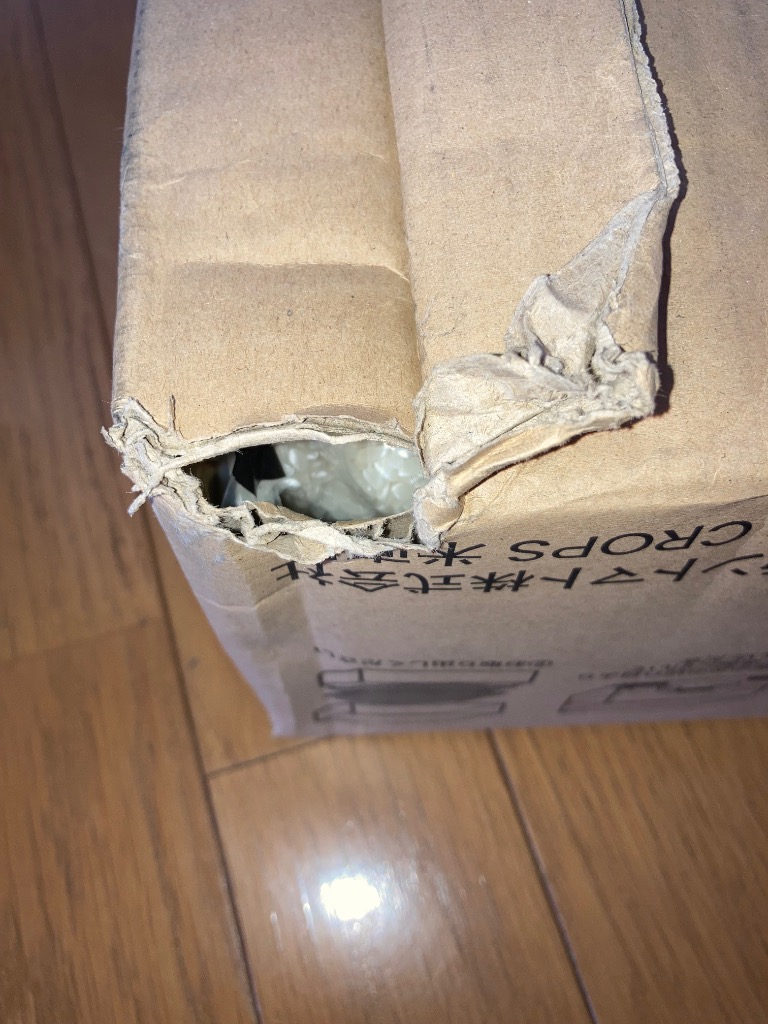 レビュー画像